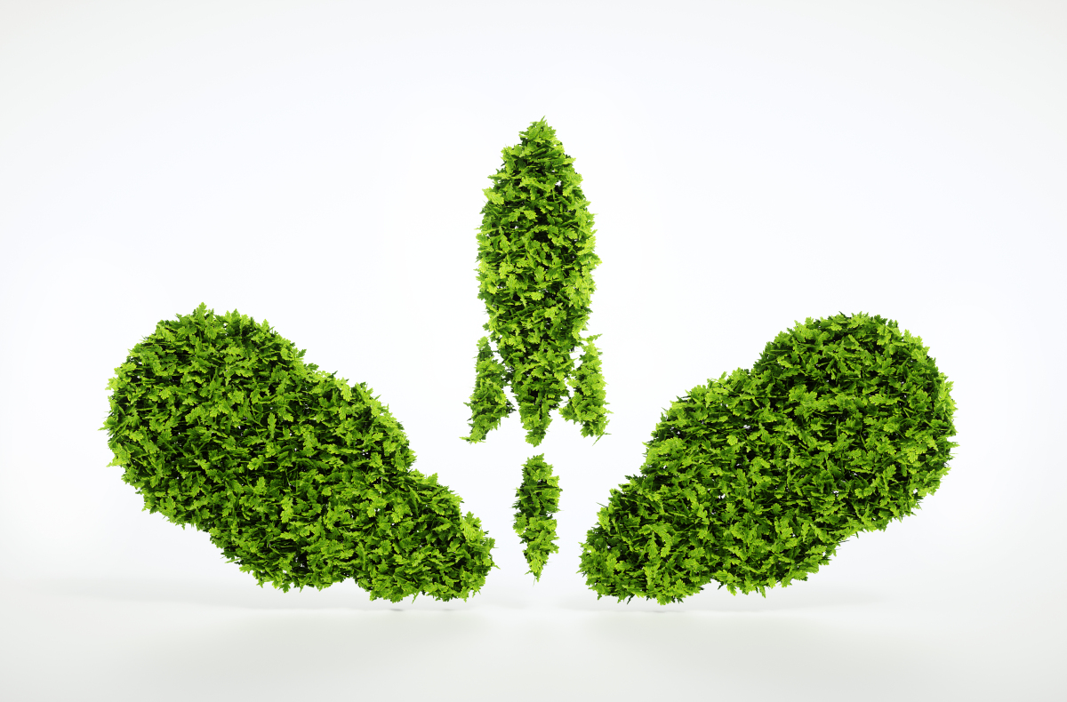 企業(yè)申請(qǐng)進(jìn)出口權(quán)的好處？